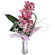 орхидея с цветами в вазе. Саратов
